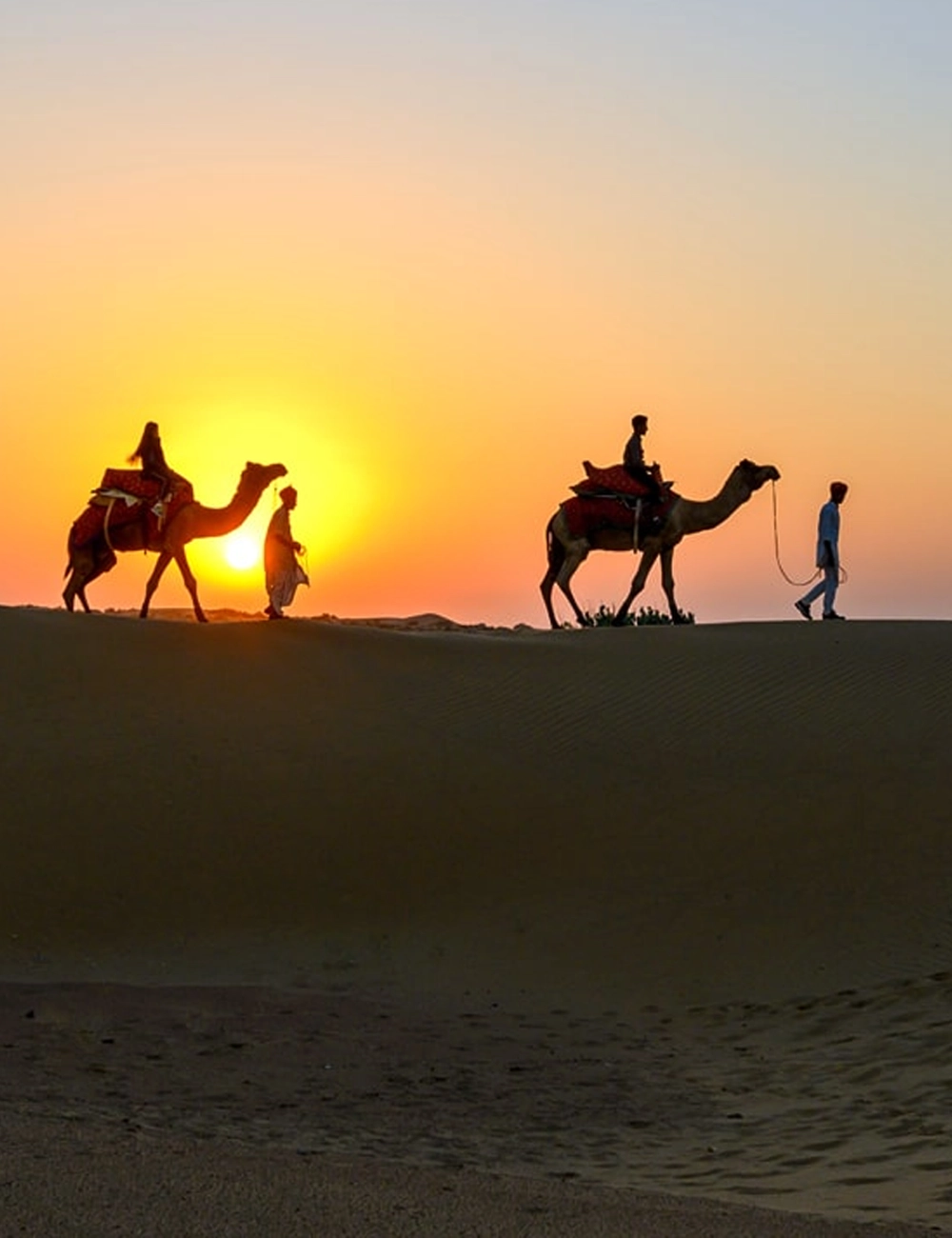 Camel Sunset Safari